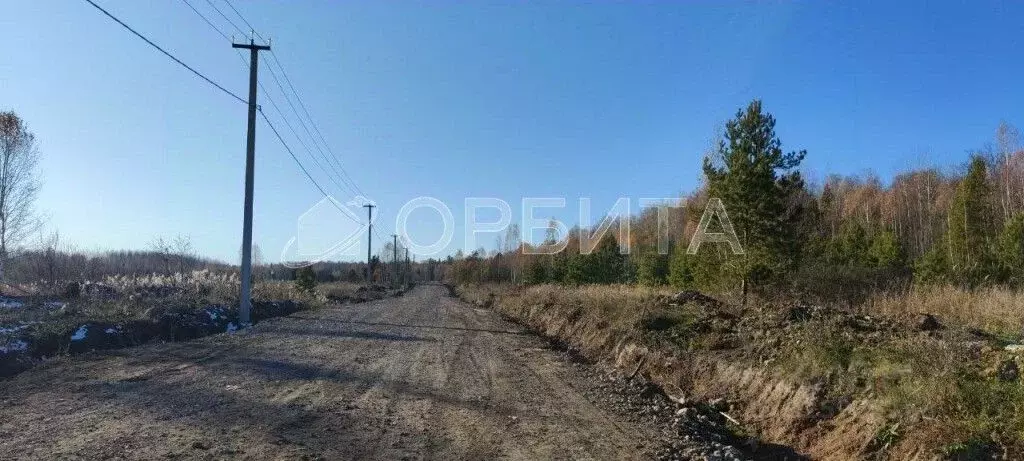 Участок в Тюменская область, Тюмень Царево садовое товарищество, ул. ... - Фото 2