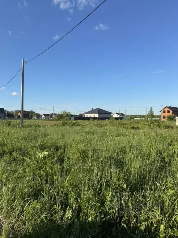 Участок в Пензенская область, Пенза ул. Новоселов, 37 (6.0 сот.) - Фото 2