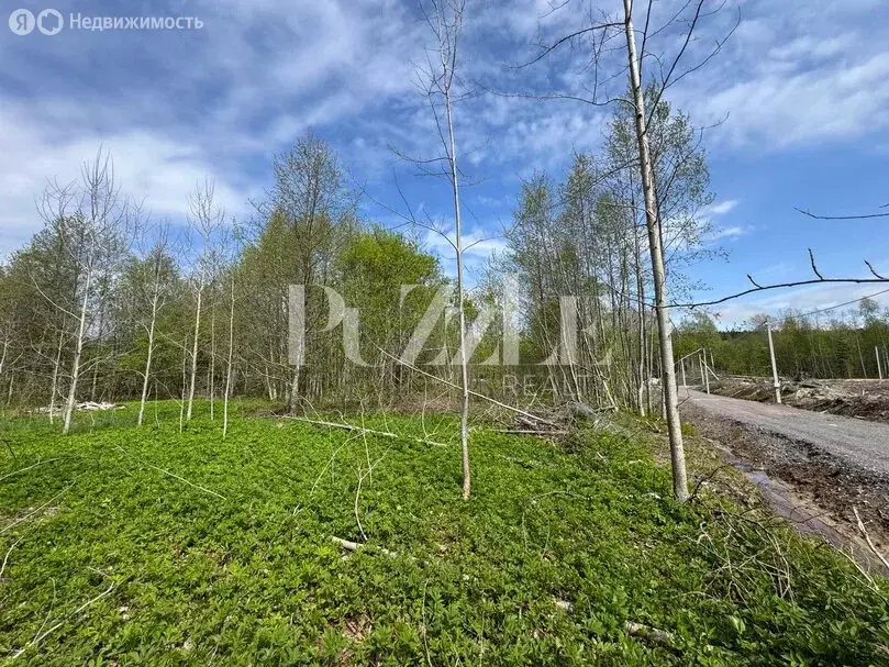 Участок в Выборгский район, Полянское сельское поселение (18.35 м) - Фото 1