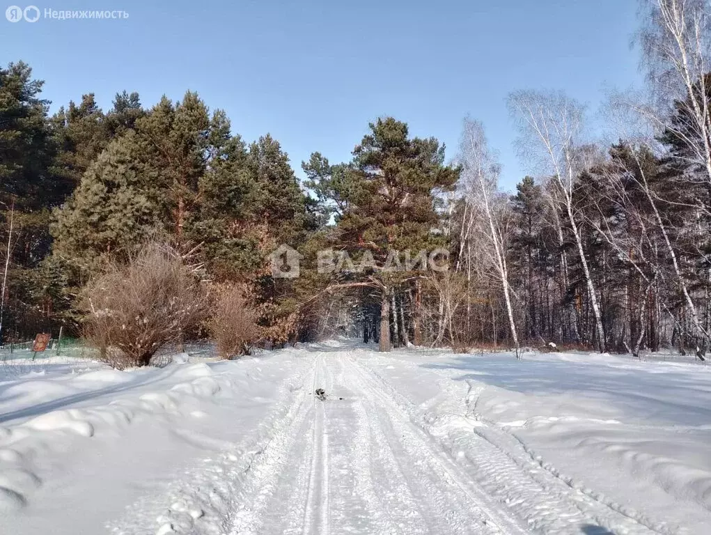 Участок в Кемеровский муниципальный округ, село Верхотомское (1 м) - Фото 0