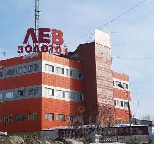 Офис в Удмуртия, Ижевск ул. Ленина, 142 (1000 м) - Фото 1