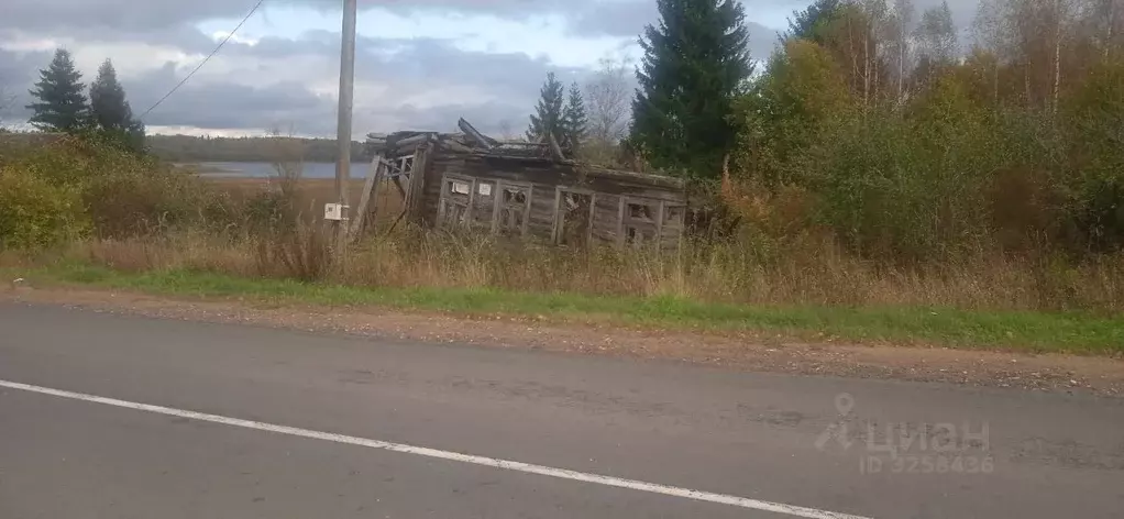 Участок в Новгородская область, Валдайский район, Ивантеевское с/пос, ... - Фото 1