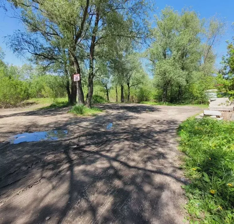 Участок в Новосибирская область, Новосибирский район, Мочищенский ... - Фото 1
