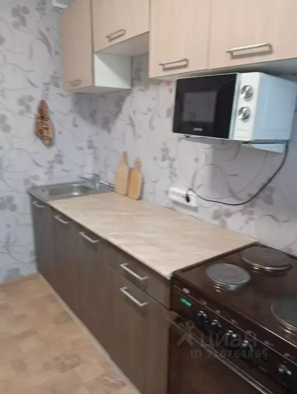 1-к кв. Новосибирская область, Новосибирск ул. Плахотного, 74 (32.0 м) - Фото 0