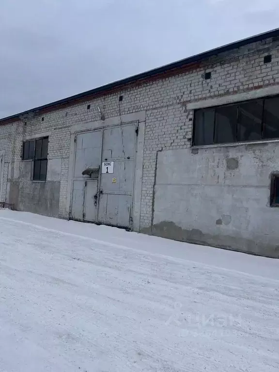 Склад в Свердловская область, Екатеринбург ул. Леваневского, с49 (531 ... - Фото 1