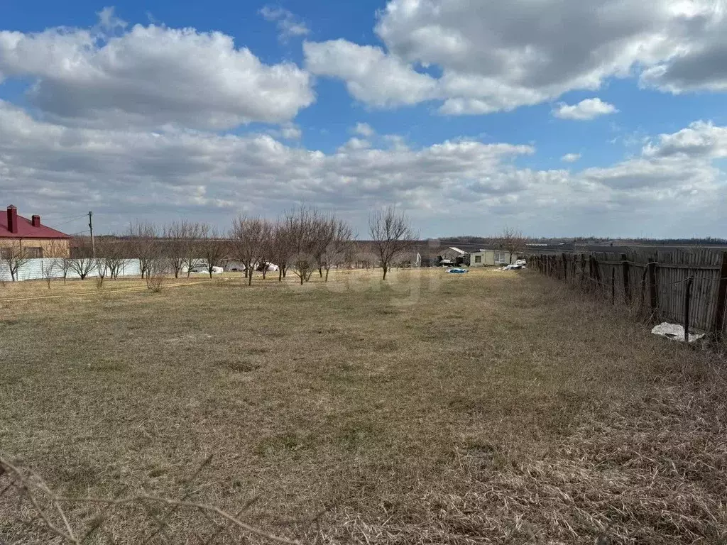 Участок в Ростовская область, Мясниковский район, Краснокрымское ... - Фото 1