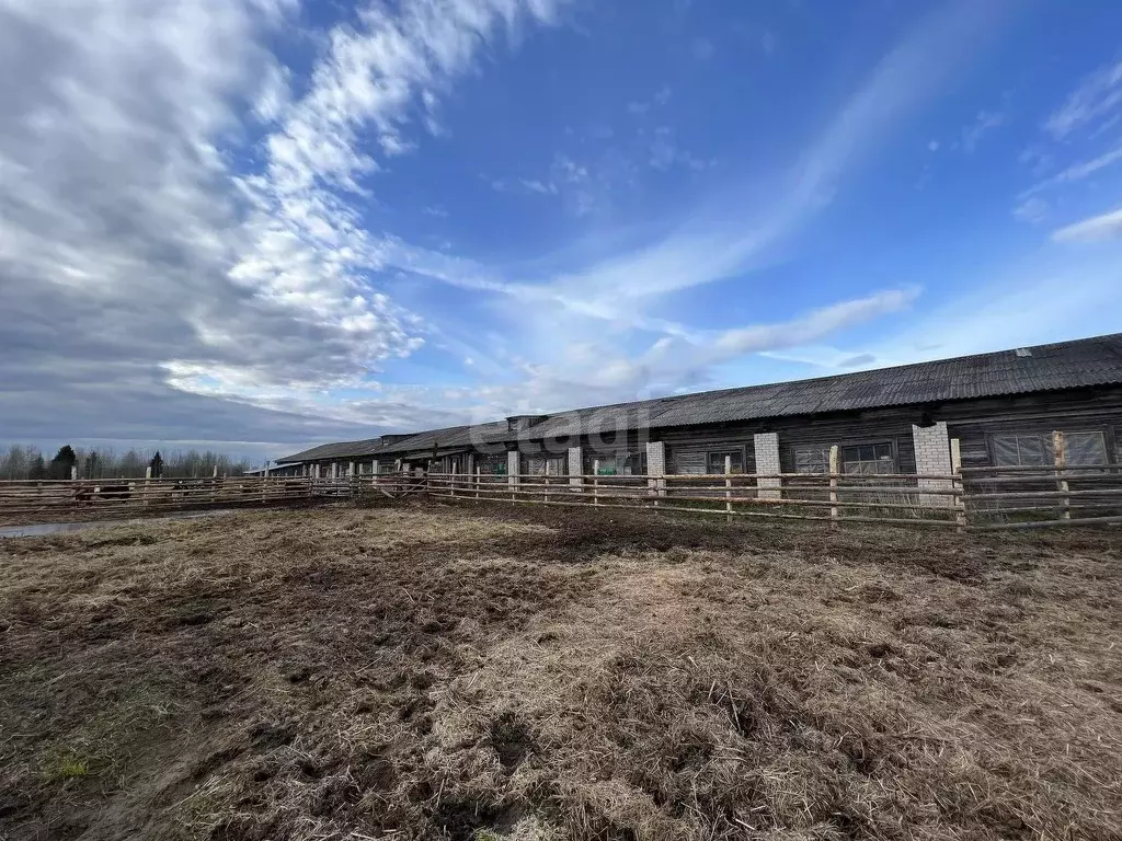 Склад в Архангельская область, Котласский муниципальный округ, д. ... - Фото 1