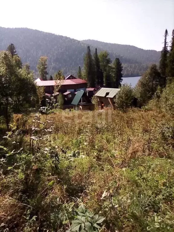 Участок в Алтай, Турочакский район, с. Артыбаш  (25.3 сот.) - Фото 1