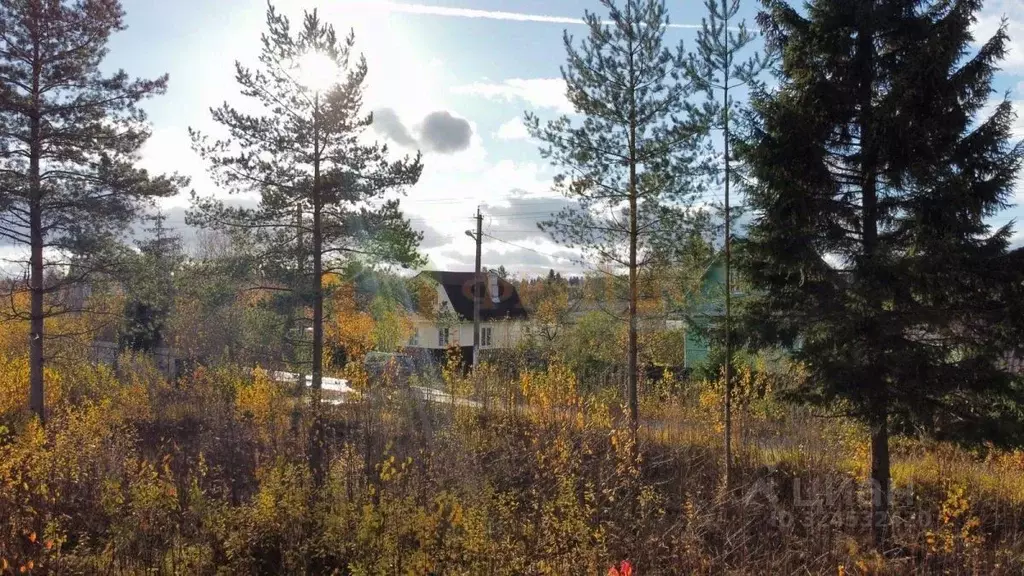 Участок в Ленинградская область, Лужский район, Мшинское с/пос, ... - Фото 1