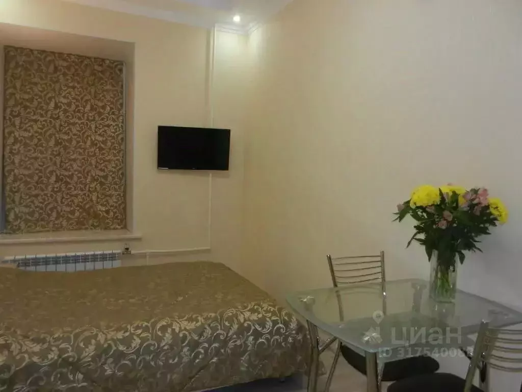 1-к кв. Санкт-Петербург Конюшенный пер., 1/6 (18.0 м) - Фото 0