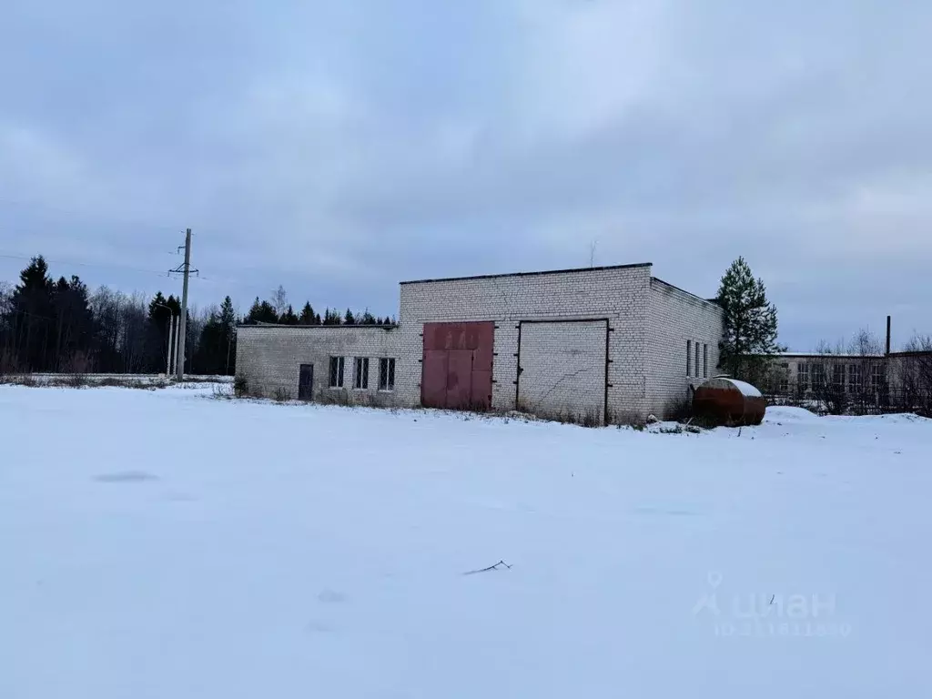 Помещение свободного назначения в Вологодская область, Великоустюгский ... - Фото 0