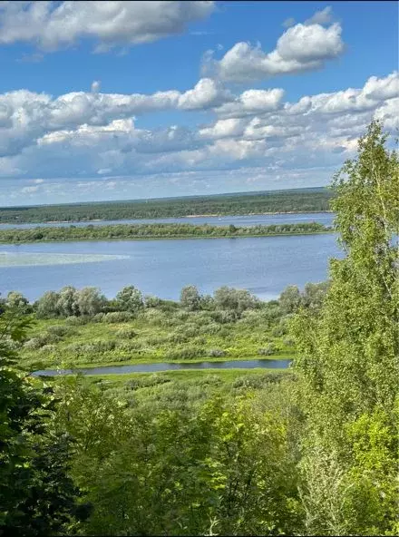 Дом в Нижегородская область, Кстовский муниципальный округ, д. ... - Фото 1