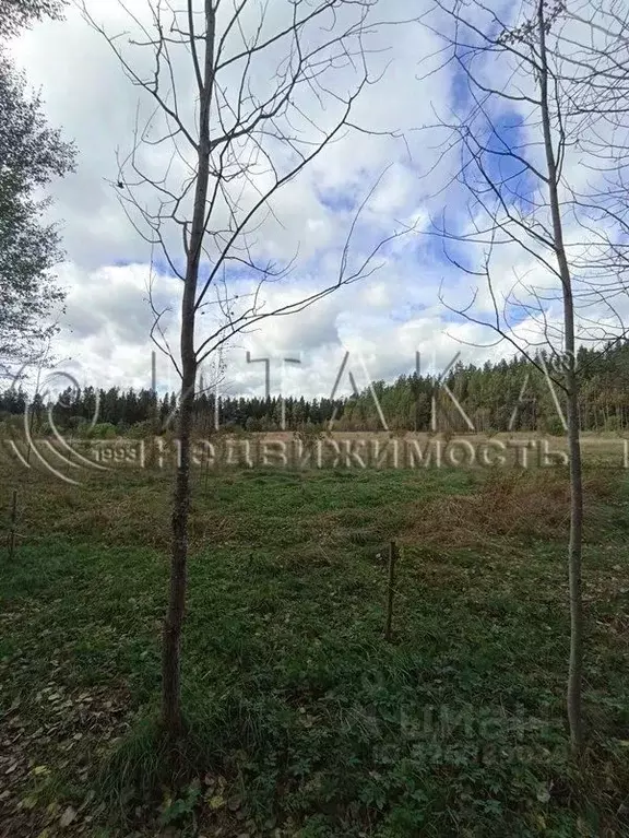 Участок в Ленинградская область, Выборгский район, Светогорское ... - Фото 1