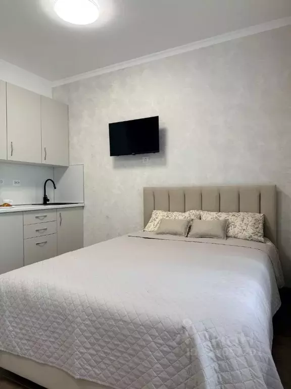 Студия Санкт-Петербург Планерная ул., 99 (25.3 м) - Фото 1