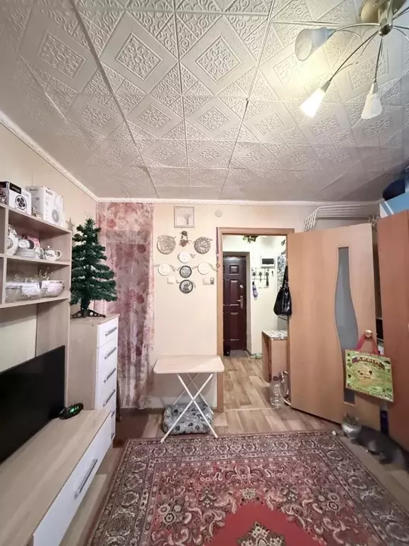 1-к кв. Московская область, Воскресенск Центральный мкр, ул. ... - Фото 1