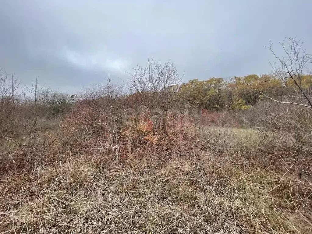 Участок в Крым, Кировский район, Первомайское с/пос, Заря СНТ пер. ... - Фото 2