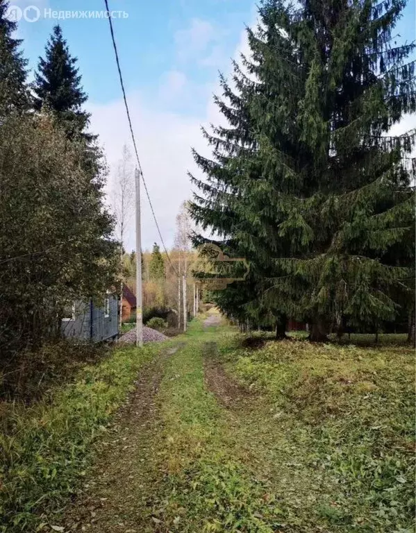 Участок в Пустомержское сельское поселение, садовые участки Ясень ... - Фото 2