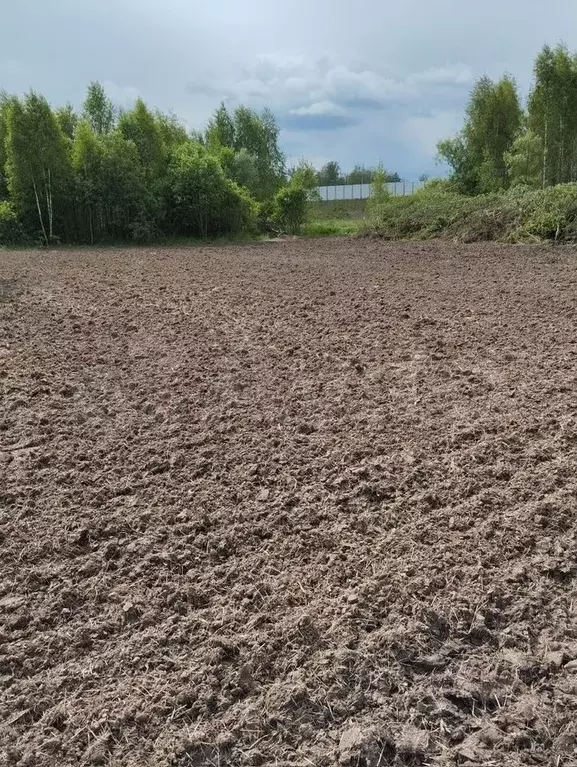 Участок 12,5 сот. (СНТ, ДНП) - Фото 1