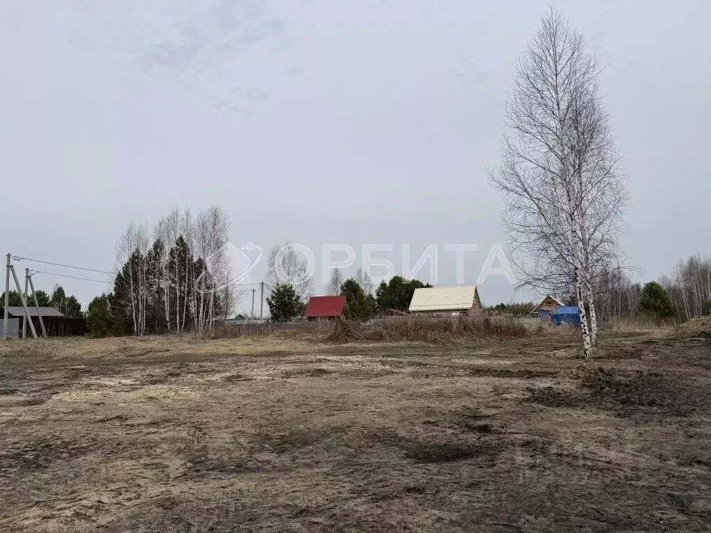 Участок в Тюменская область, Тюмень Садовое товарищество Липовый ... - Фото 1