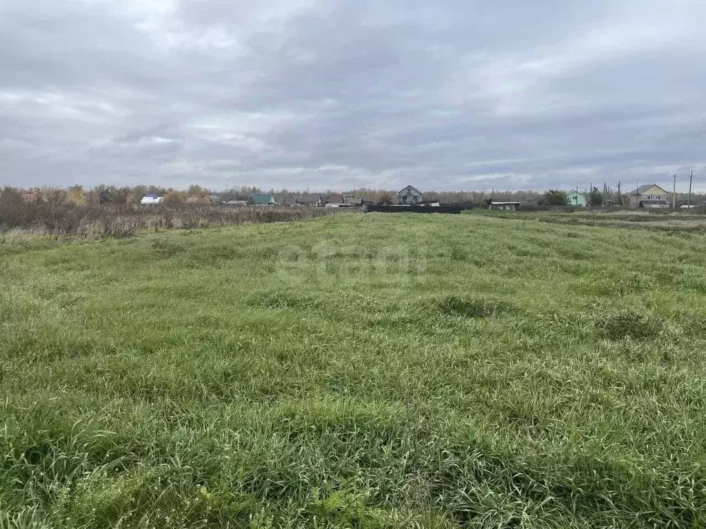 Участок в Свердловская область, Слободо-Туринский район, ... - Фото 1