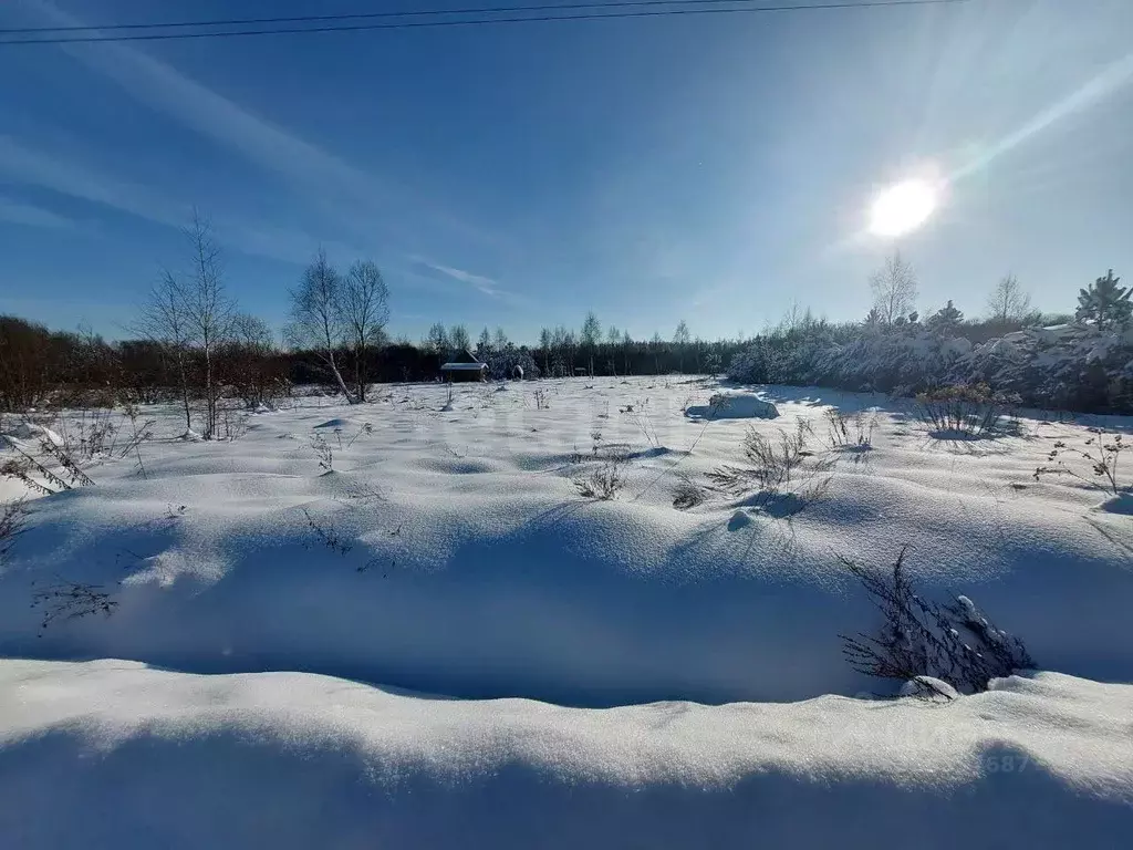 Участок в Тульская область, Алексин городской округ, д. Иньшино ул. ... - Фото 2