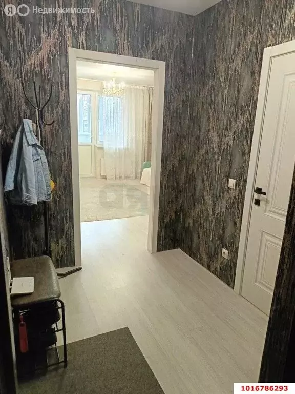 Квартира-студия: Краснодар, Домбайская улица, 10 (30 м) - Фото 1