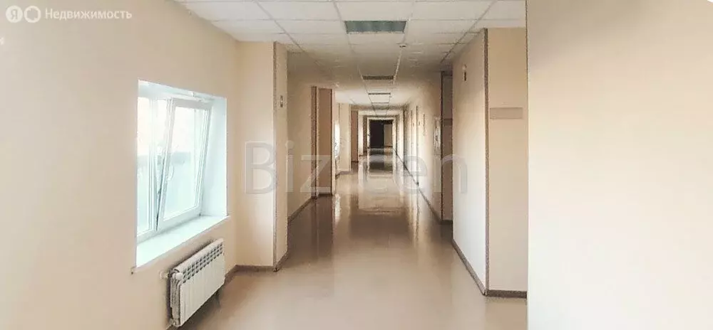 Офис (37.2 м) - Фото 1