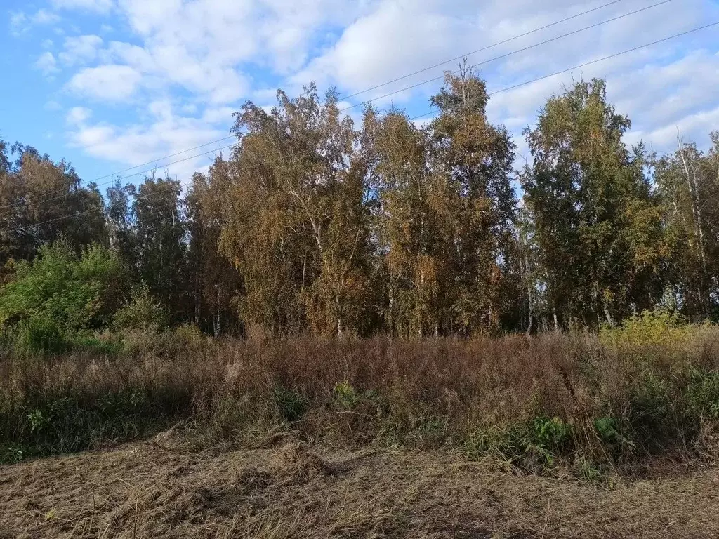 Коттедж в Омская область, Омский район, с. Пушкино, Наукоград мкр  ... - Фото 2