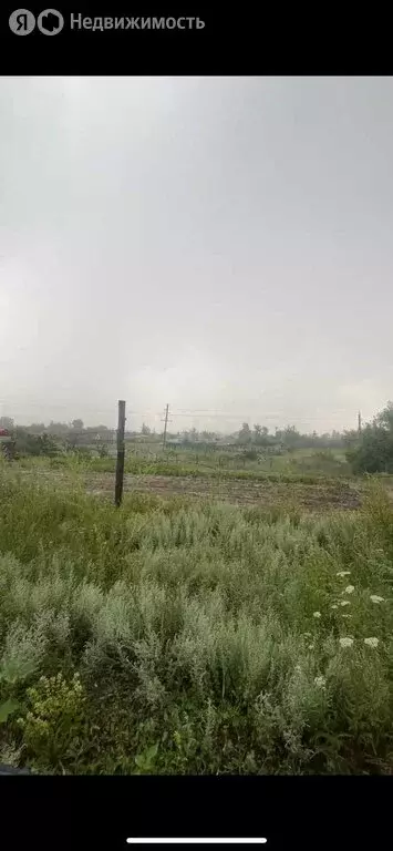 Участок в Рамонский район, село Новоживотинное (8 м) - Фото 0