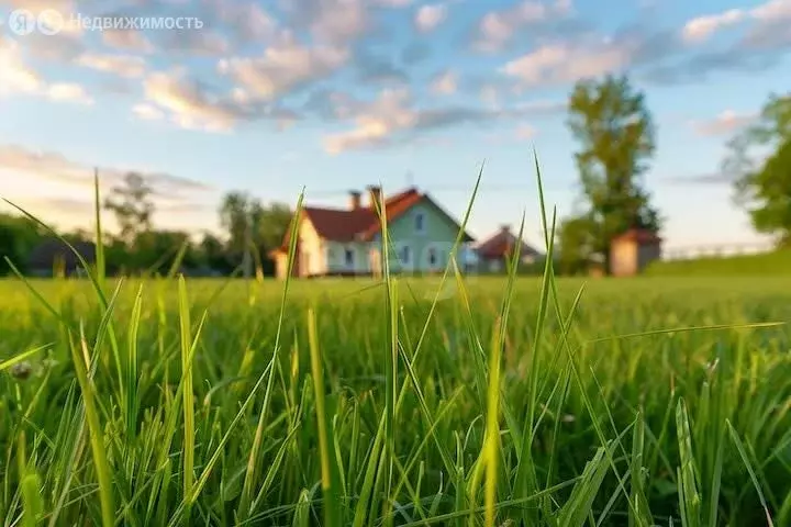 Участок в Курганская область, Кетовский муниципальный округ, ... - Фото 2