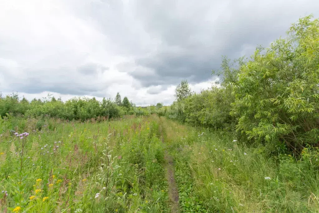 Участок в Тобольск, микрорайон Иртышский (9 м) - Фото 0