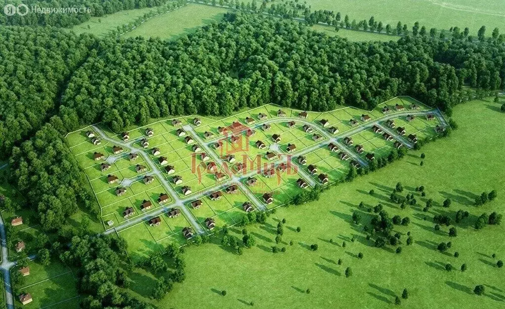 Участок в Владимирская область, Александровский муниципальный округ, ... - Фото 1