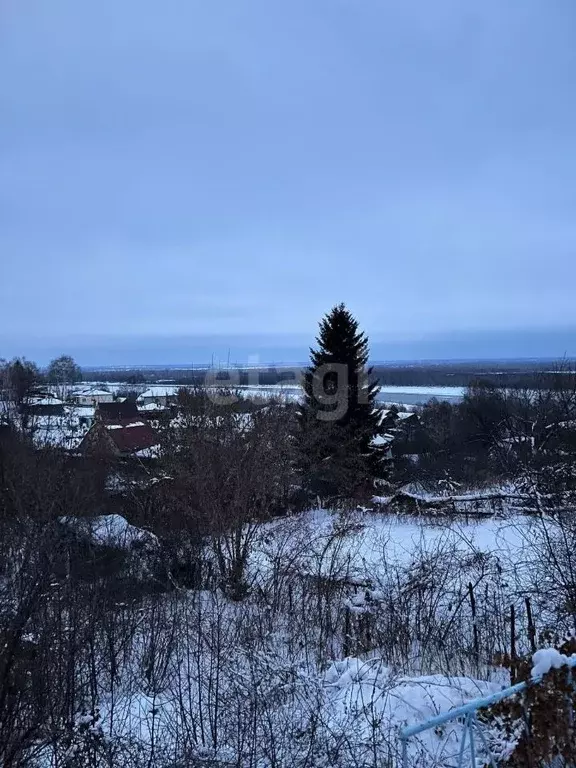 Участок в Алтайский край, Барнаул Кавказский проезд (10.4 сот.) - Фото 1