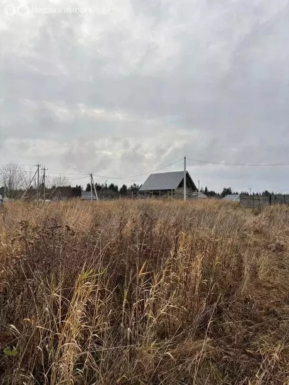 Участок в Кипенское сельское поселение, ДНП Глуховское раздолье, ... - Фото 2