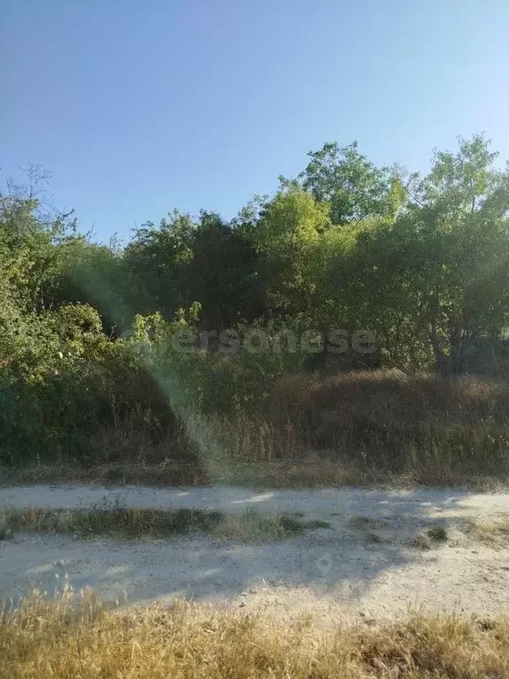 Участок в Севастополь пер. 1-й Планерный (6.29 сот.) - Фото 1