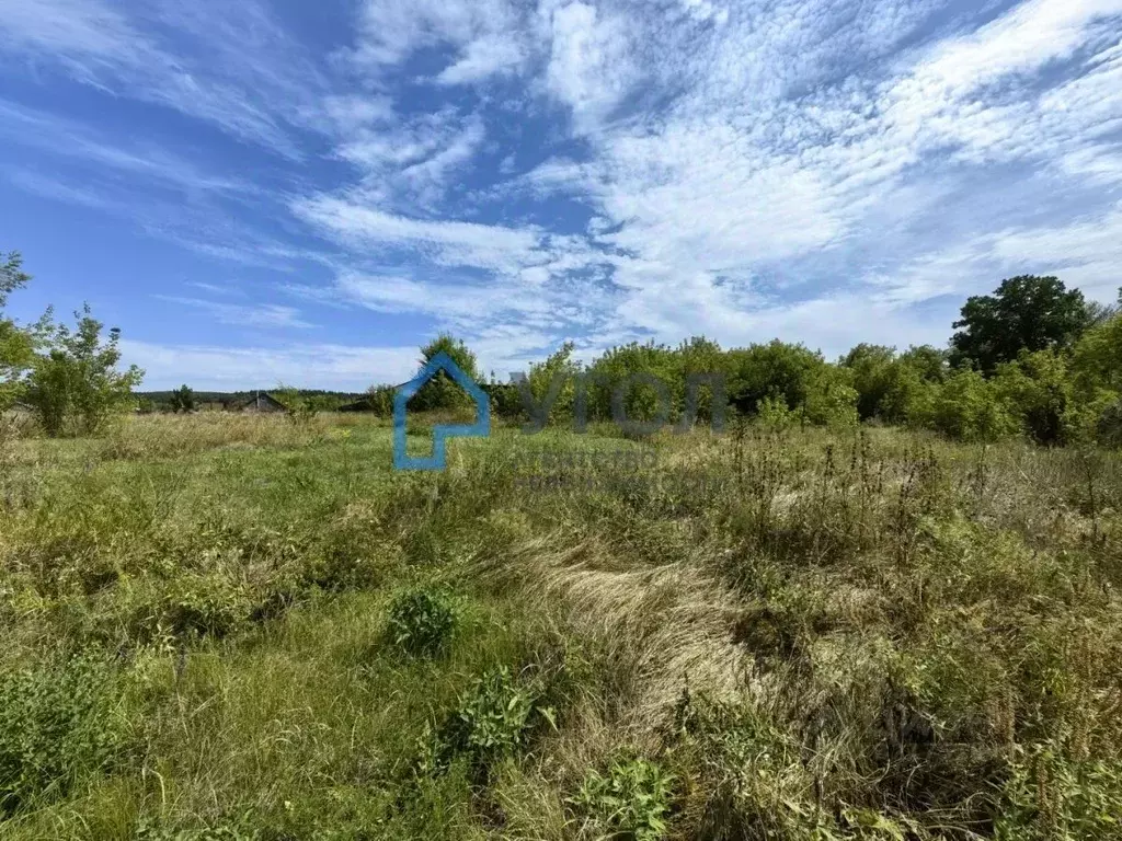 Участок в Самарская область, Сызранский район, с. Заборовка Набережная ... - Фото 1