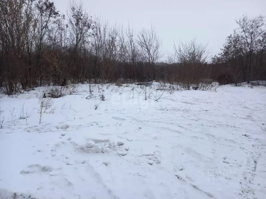 Участок в Белгородская область, Губкин Горняк-Мичуринец СТ,  (4.75 ... - Фото 1