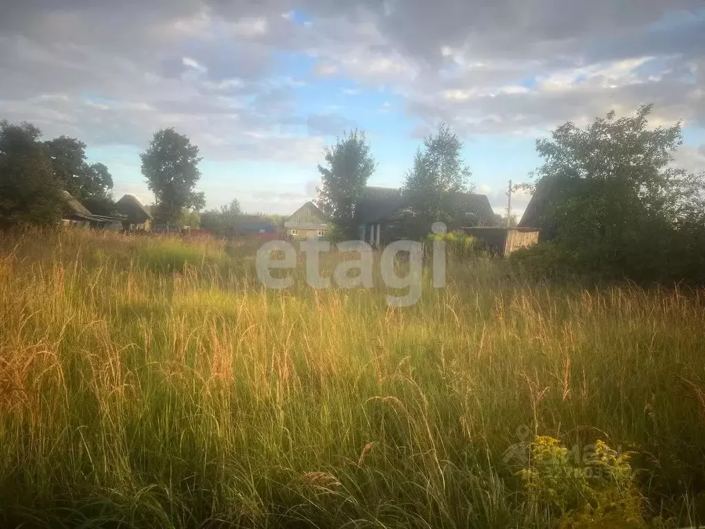 Участок в Брянская область, Жуковский муниципальный округ, с. Ржаница ... - Фото 1