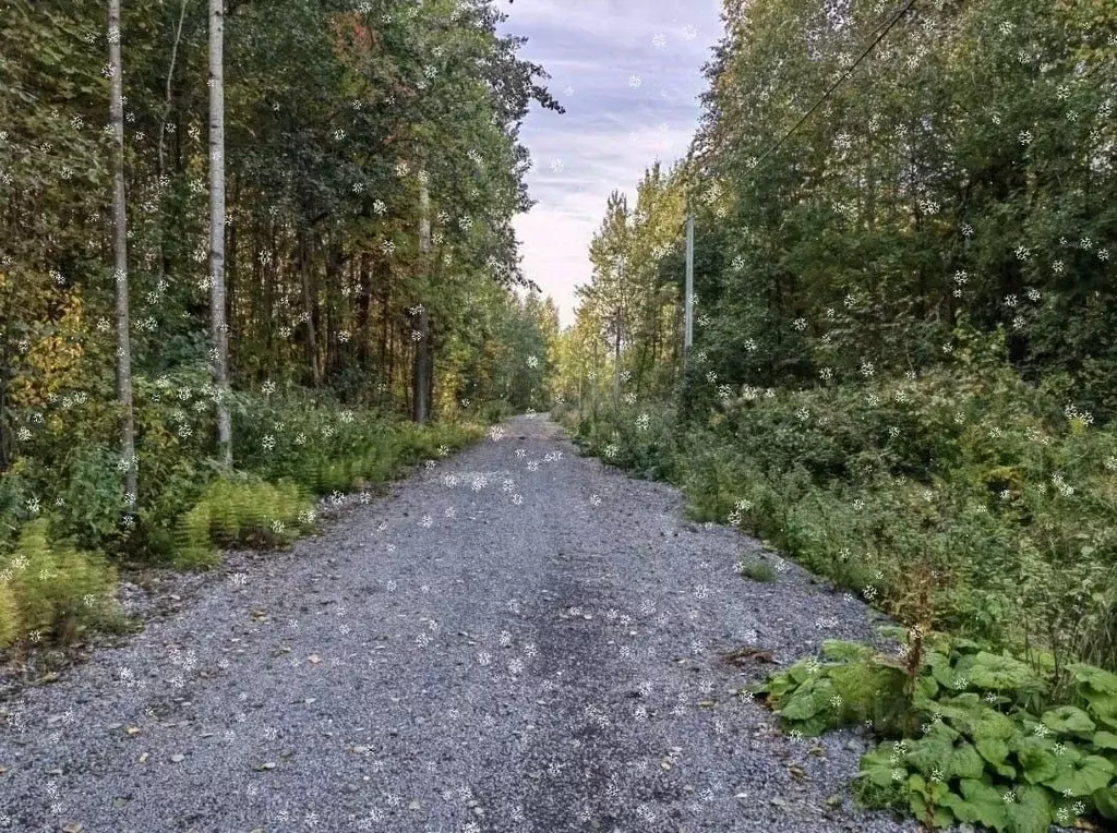 Участок в Вологодская область, Череповец ул. Кружевная (8.0 сот.) - Фото 1
