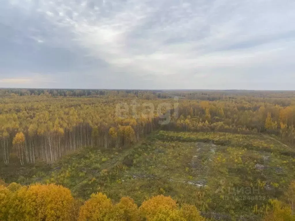 Участок в Костромская область, Кострома Волгореченское ш. (70.0 сот.) - Фото 1