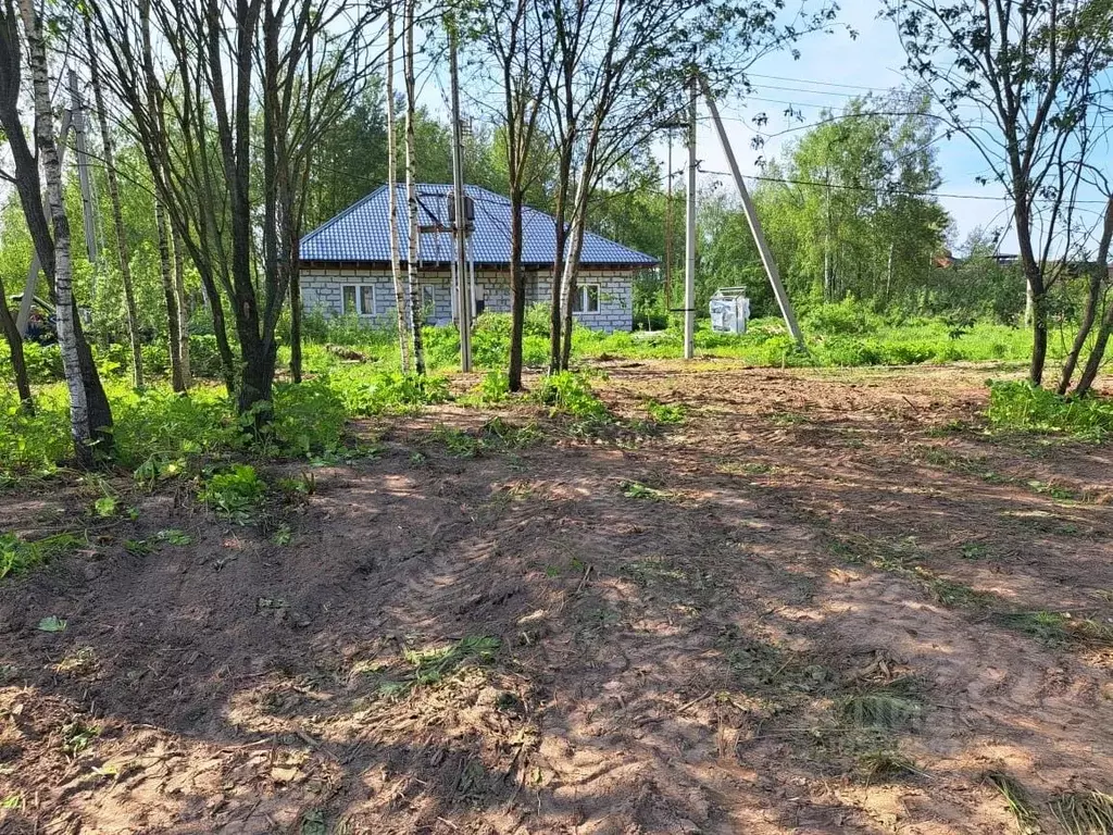 Участок в Московская область, Истра муниципальный округ, д. Манихино  ... - Фото 1