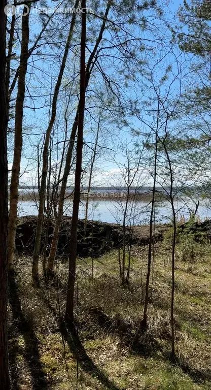 Участок в Плодовское сельское поселение, посёлок Кутузовское (20 м) - Фото 1