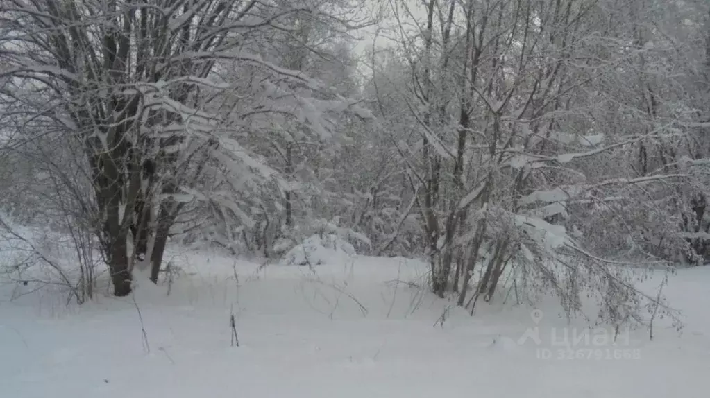 Участок в Московская область, Дмитровский муниципальный округ, д. ... - Фото 1