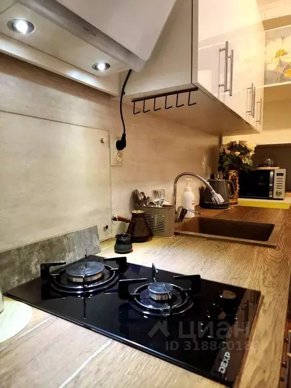 1-к кв. Ставропольский край, Пятигорск ул. Власова, 38 (28.0 м) - Фото 1