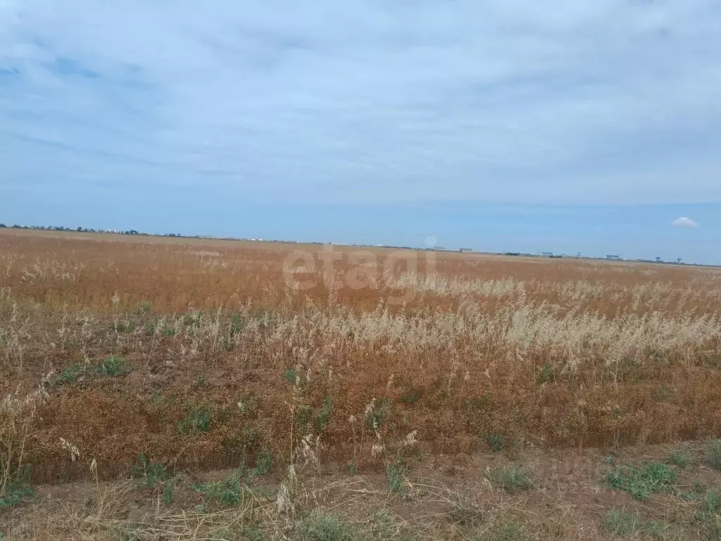 Участок в Крым, Сакский район, с. Молочное  (627.2 сот.) - Фото 1