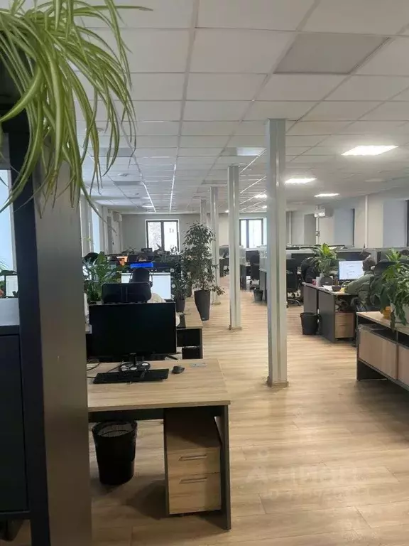 Помещение свободного назначения в Москва ул. Образцова, 4С1 (1046 м) - Фото 1