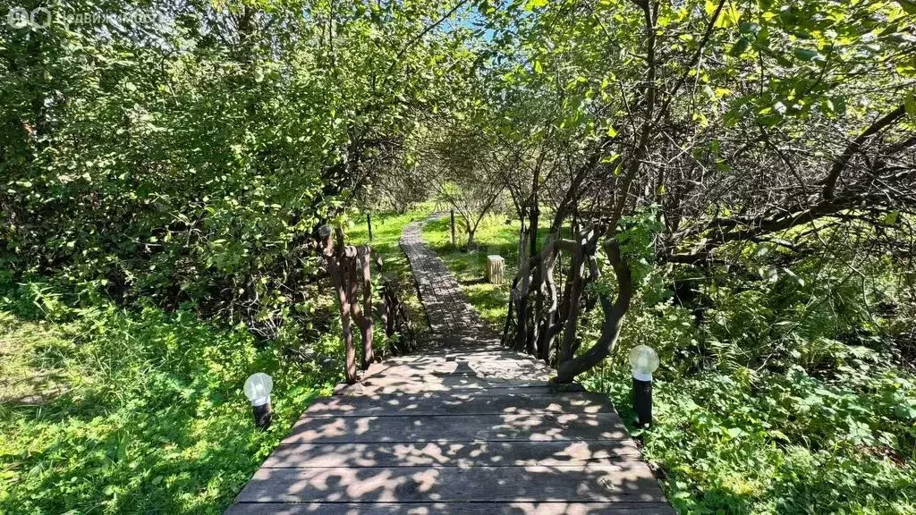 Участок в Чемальский район, село Чепош (24.67 м) - Фото 0