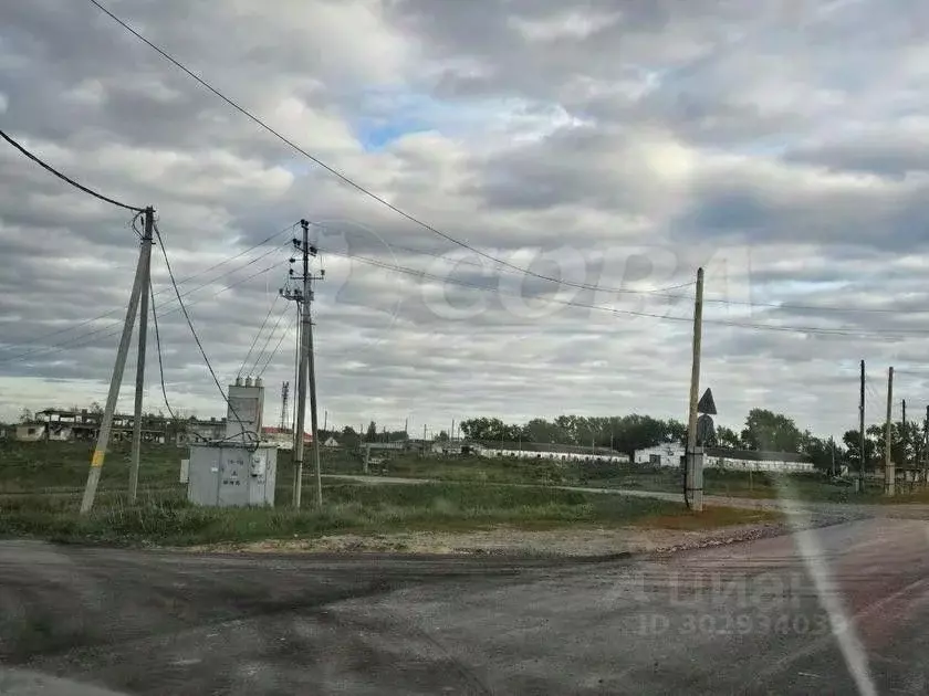 Участок в Тюменская область, Тюменский район, с. Борки ул. Текутьева ... - Фото 1