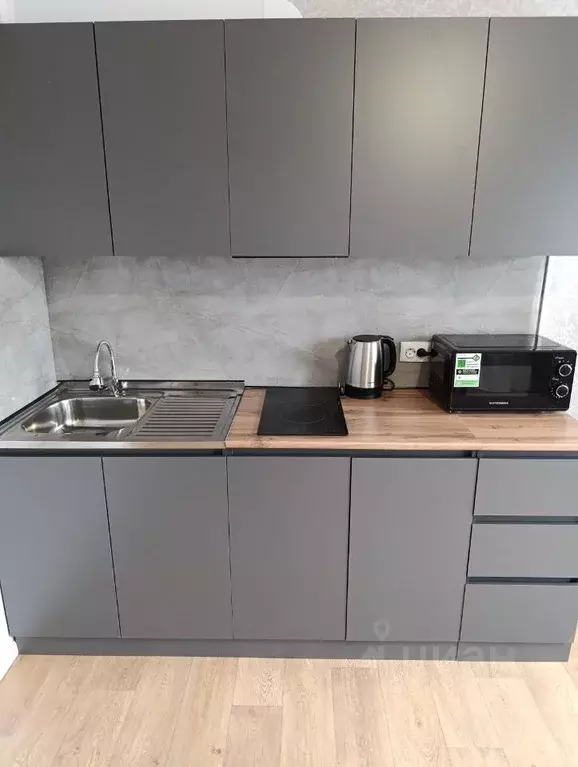 1-к кв. Московская область, Ивантеевка Пушкинский городской округ, ул. ... - Фото 1