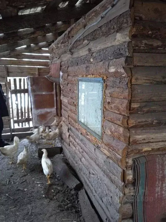 Дом в Курганская область, Кетовский муниципальный округ, с. Колташево  ... - Фото 1